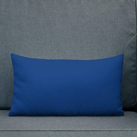 all-over-print-premium-pillow-20×12-back-lifestyle-2-60be20e2d0df5.jpg