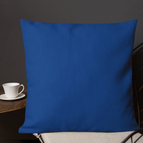 all-over-print-premium-pillow-22×22-back-lifestyle-3-60be20e2d109f.jpg